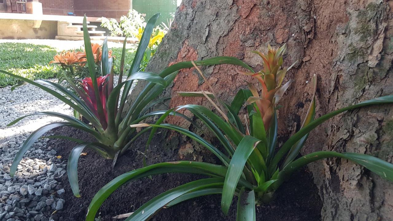 קרגואטטובה Hospedagem Economica Flor De Maria מראה חיצוני תמונה